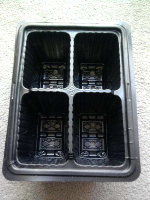 PLASTIC SEEDLING TRAY 4 DIVISION