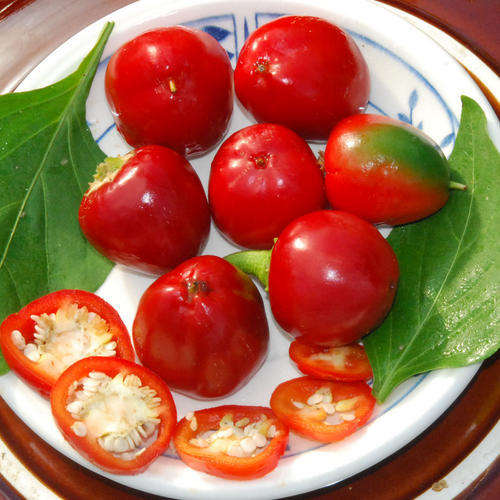 PEPPER SEEDS CHERRY PEPPER - 20 PEPPER SEEDS
