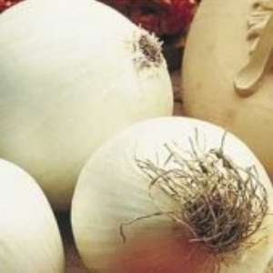 ONION SEEDS SPANISH SWEET WHITE - 25 ONION SEEDS