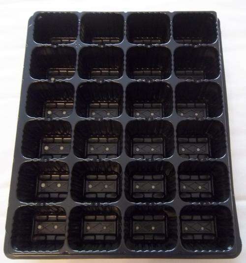 PLASTIC SEEDLING TRAY 24 DIVISION