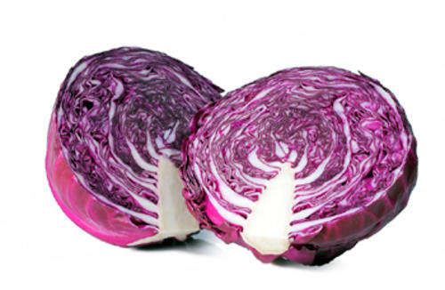 CABBAGE SEEDS RED ACRE - 25 CABBAGE SEEDS