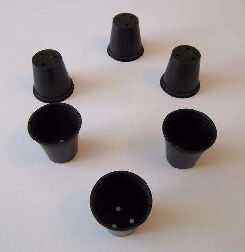 PLANT POTS 5 CM - PLANT POTS