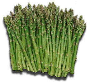 Asparagus Seeds Mary Washington - 100 Asparagus Seeds