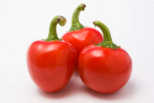 CHILLI SEEDS CHERRY BOMB ORGANIC - 10 CHILLI SEEDS