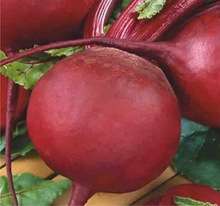 BEETROOT SEEDS CRIMSON GLOBE - 100 BEETROOT SEEDS