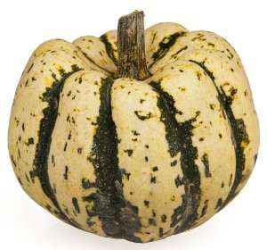 SQUASH SEEDS SWEET DUMPLING - 5 SQUASH SEEDS