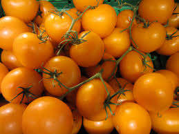 TOMATO SEEDS GOLDEN JUBILEE - HEIRLOOM TOMATO SEEDS - 10 SEEDS