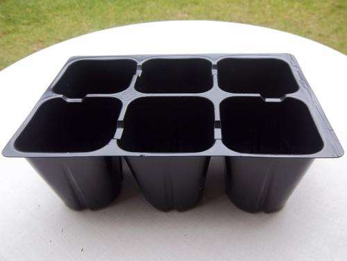 PLASTIC SEEDLING TRAY 6 DIVISION - EXTRA DEEP