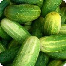 PICKLING CUCUMBERS HEIRLOOM - 20 CUCUMBER SEEDS