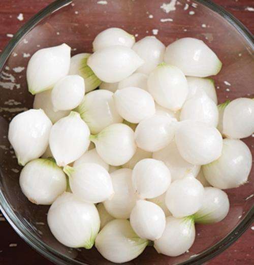 ONION SEEDS ECLIPSE PEARL - 25 ONION SEEDS