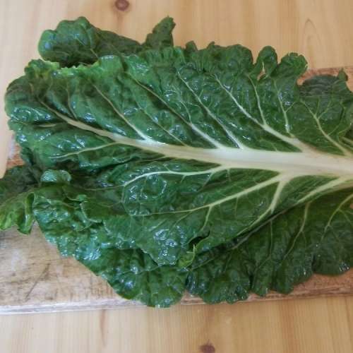 SPINACH - SWISS CHARD FORDHOOK GIANT 100 SPINACH SEEDS