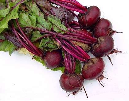 Beetroot Seeds Detroit Dark Red 10 Grams of Seeds