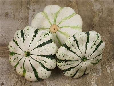 PATTY PAN SQUASH SEEDS JUANE ET VERTE - 10 SQUASH SEEDS