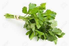 Parsley Flat Leaf Italian 700 Parsley Seeds