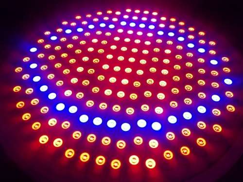 PLANT GROW LIGHTS LED 24W 166 RED, 34 BLUE - PLANT GROW LIGHT