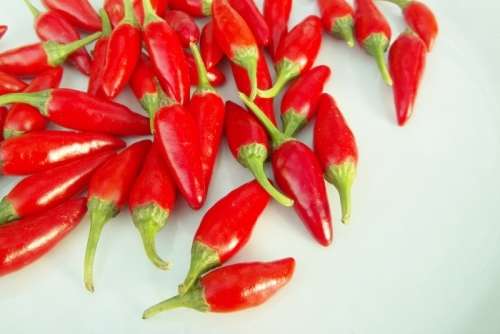 BULLET CHILLI SEEDS - 20 CHILLI SEEDS