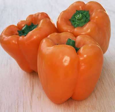 Pepper Seeds Orange Sun - 10 Pepper Seeds