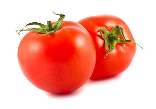Tomato Seeds Floradade - 2 Grams Bulk Seed Listing