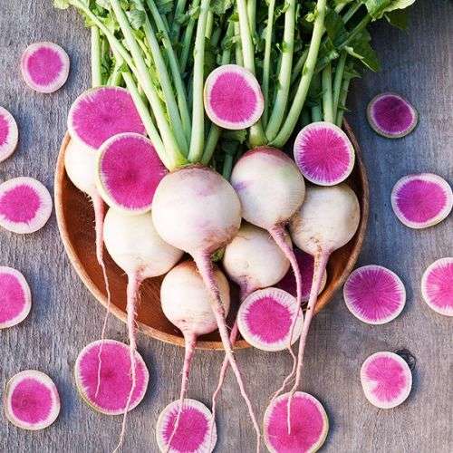 RADISH SEEDS WATERMELON - 25 RADISH SEED