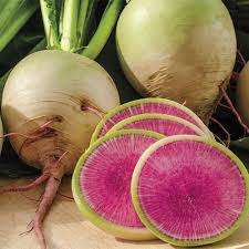 RADISH SEEDS WATERMELON - 25 RADISH SEED
