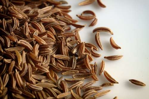 CARAWAY SEEDS - 200 CARAWAY SEEDS