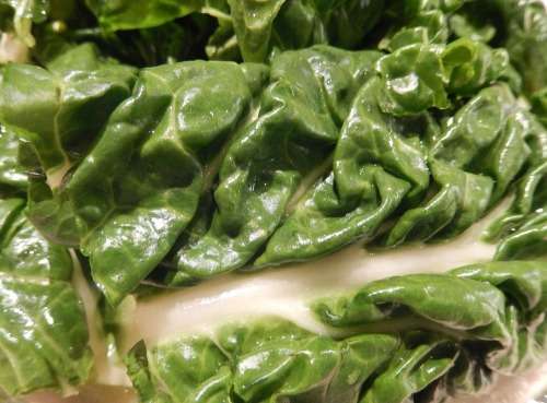 Spinach - Swiss Chard Fordhook Giant 200 Spinach Seeds
