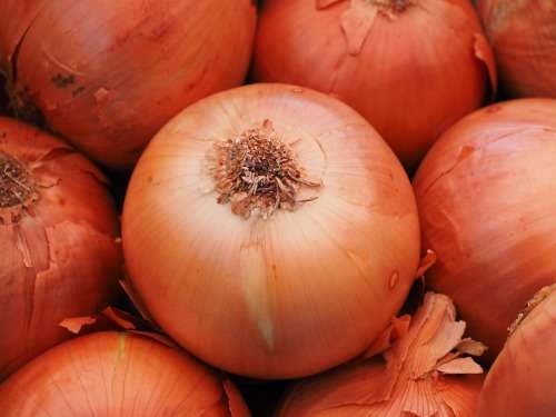 Onion Seeds Texas Grano - 100 Onion Seeds