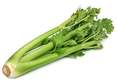 Celery Seeds Utah - 500 Celery Seeds