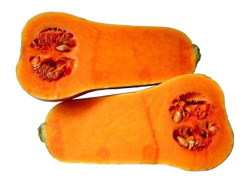 Squash Butternut Waltham - 5 Grams Of Squash Butternut Seeds