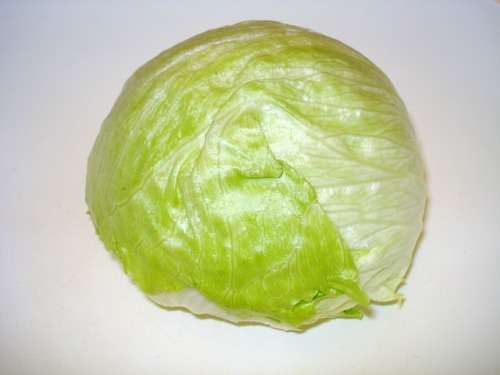 LETTUCE SEEDS BLONDE DE PARIS - 200 LETTUCE SEEDS
