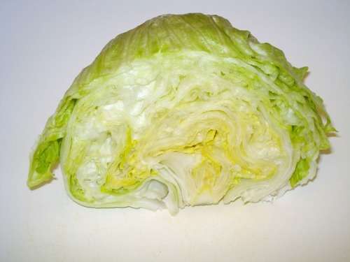 LETTUCE COMMANDER SUMMER VARIETY - 100 LETTUCE SEEDS