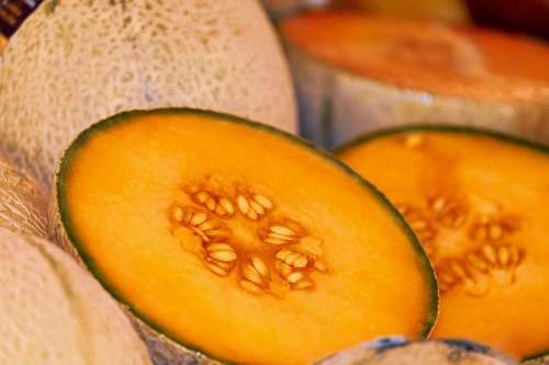 MELON SEEDS HALES BEST - 150 MELON SEEDS