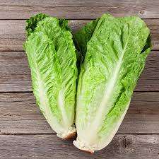 LETTUCE SEEDS ROMANA BIONDA - 100 HEIRLOOM LETTUCE SEEDS