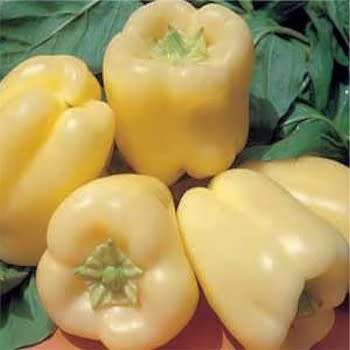 Pepper Seeds Soroksari - 10 Sweet Pepper Seeds