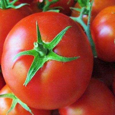 Tomato Seeds Saint Pierre - 20 Tomato Seeds