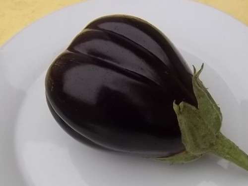 Brinjal (Aubergine) Black Beauty - 100 Brinjal Seeds