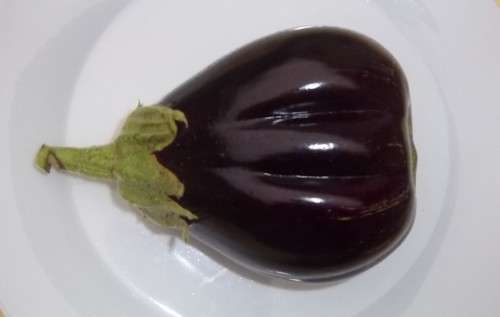 Brinjal (Aubergine) Black Beauty - 100 Brinjal Seeds