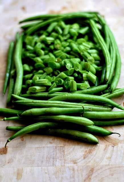 Bush Beans Wintergreen - 15 Green Bean seeds