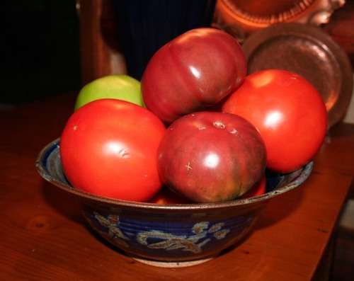 Tomato Seeds - Marmande Heirloom 20 Tomato Seeds