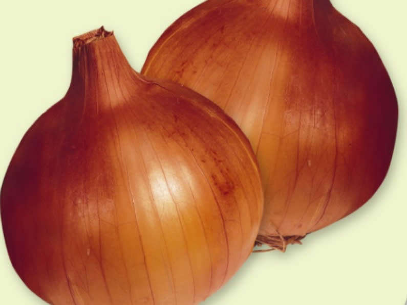 Onion seeds Australian Brown - 5 grams Onion seeds