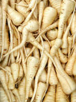 PARSNIP WHITE GEM 100 SEEDS
