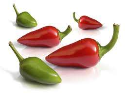 Paprika - Capsicum 10 Seeds