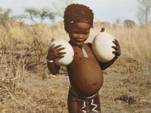Children of the Kalahari by Alice Mertens