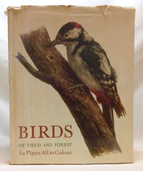 Birds of field and forest Illustrations by E Demartini