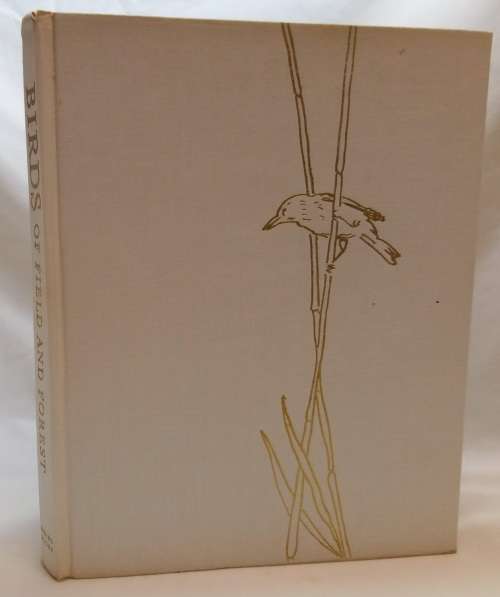 Birds of field and forest Illustrations by E Demartini