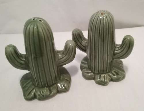 Cacti SaltandPepper set