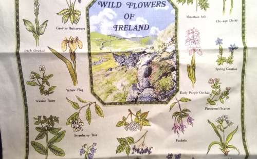 Vintage dish cloth `Wild flowers of Ireland`