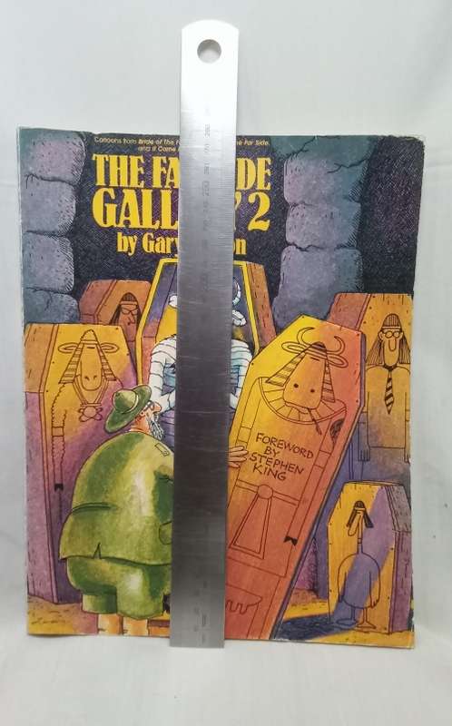 The Far side Gallery 2 paperback A4
