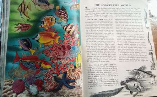 Odham`s encyclopaedia for children - beautiful book, stunning illustrations