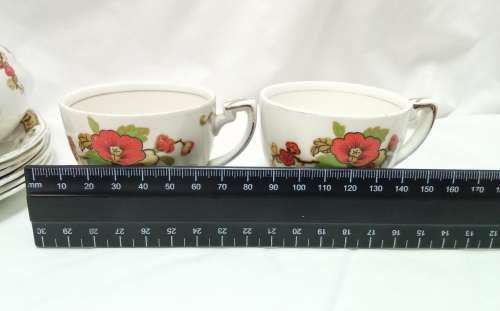 Six Alfred Meakin `Avalon` demitasse cups and saucers